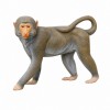 פסל קוף מקוק דקורטיבי לגינה ולבית