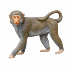 פסל קוף מקוק דקורטיבי לגינה ולבית